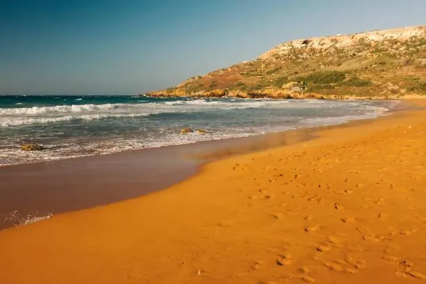 홈스테이 No 37 Sea View Salina